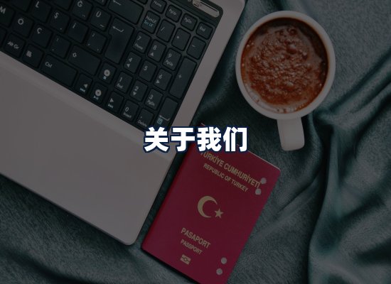关于我们
